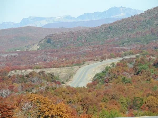 Finca rústica de 9 ha en venta en Chubut province
