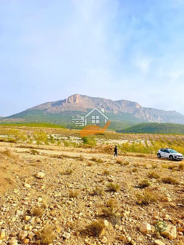 Finca agrícola de 11 ha en venta en Velez-rubio, Almeria