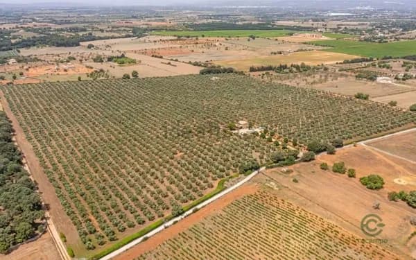 Finca rústica de 17 ha en venta en Islas baleares