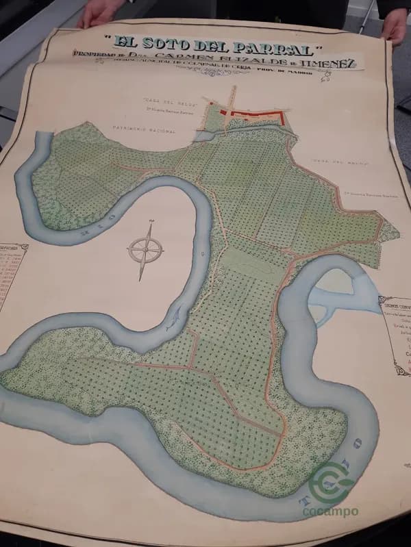 Finca rústica de 38 ha en venta en Madrid