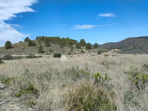 Finca rústica de 0,8535 ha en venta en Hondon de las nieves, Alicante