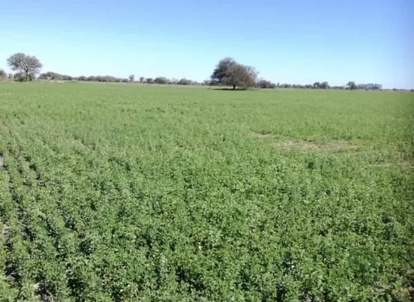 Finca rústica de 100 ha en venta en Santa fe