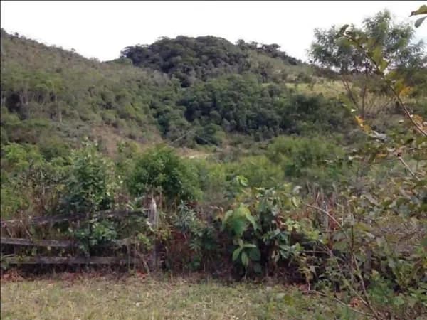 Fazenda florestal de 240 ha para venda em São paulo