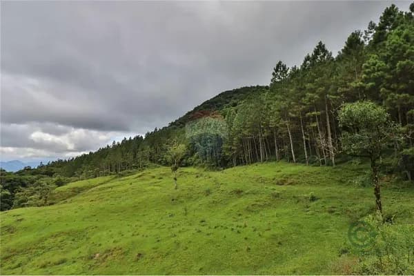Fazenda rustica de 48,22 ha para venda em Santa catarina