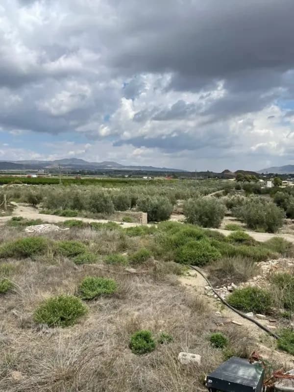 Finca agrícola de 6,1182 ha en venta en Huercal-overa, Almeria