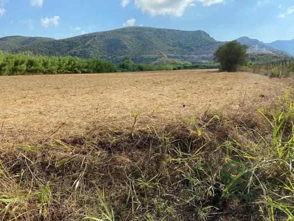 Finca agrícola de 3 ha en venta en Valencia
