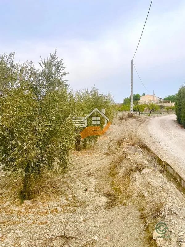 Finca rústica de 0,484 ha en venta en Velez-rubio, Almeria