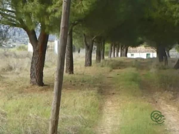 Finca rústica de 2,69 ha en venta en Almorox, Toledo