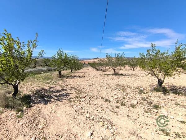 Finca agrícola de 2,24 ha en venta en Jumilla, Murcia
