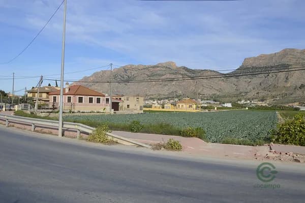 Finca agrícola de 0,6841 ha en venta en Orihuela, Alicante
