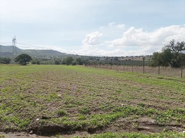 Finca agrícola de 1,3 ha en venta en Estado de méxico