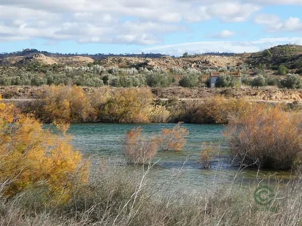 Finca rústica de 0,83 ha en venta en Fabara, Zaragoza