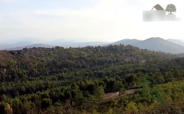 Finca rústica de 440 ha en venta en Cáceres