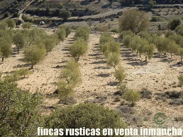 Finca rústica de 30 ha en venta en Madrid