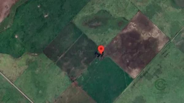 Finca rústica de 327 ha en venta en Buenos aires