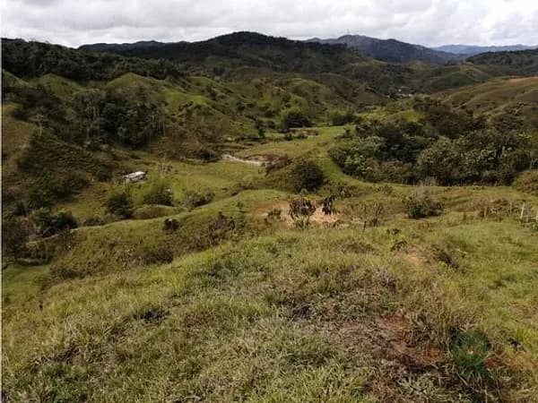 Finca rústica de 0,3353 ha en venta en Antioquia