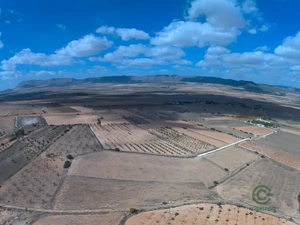 Finca rústica de 6,21 ha en venta en Alicante
