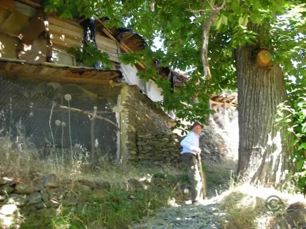 Finca rústica de 1,8693 ha en venta en Capileira, Granada