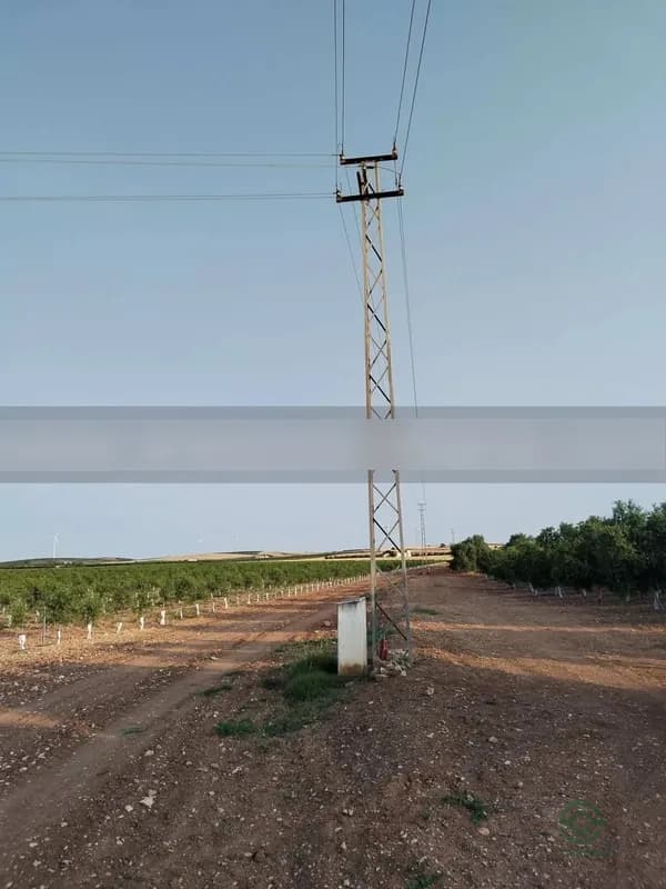 Finca agrícola de 2 ha en venta en Ecija, Sevilla