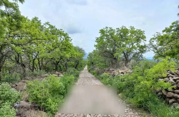 Finca rústica de 0,4 ha en venta en Guanajuato