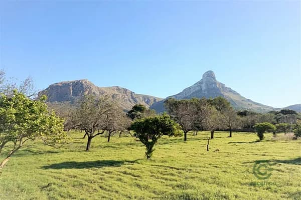 Finca rústica de 1,08 ha en venta en Colònia de sant pere, Baleares