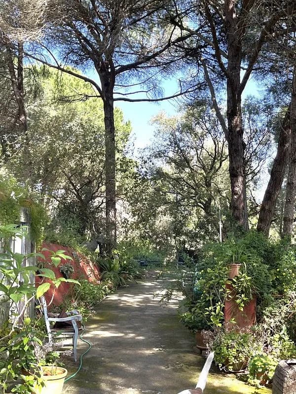 Finca rústica de 0,6 ha en venta en Cádiz