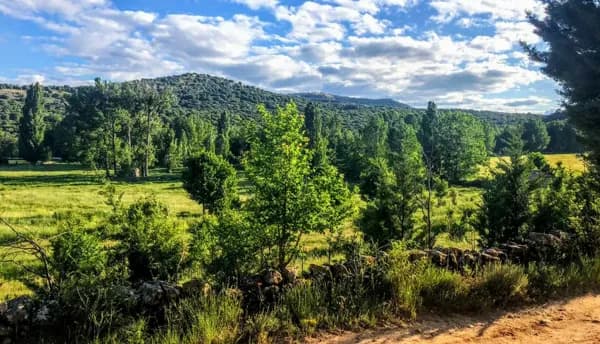 Finca rústica de 400 ha en venta en Soria