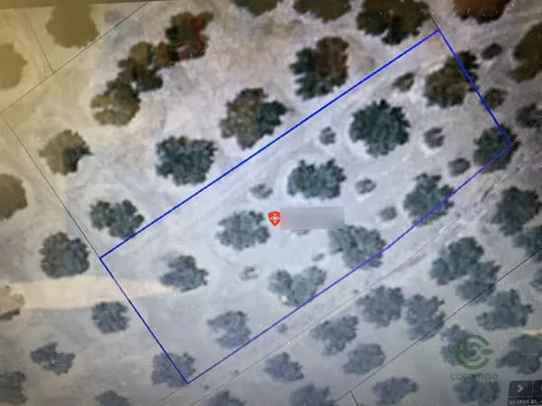 Finca agrícola de 0,17 ha en venta en Martos, Jaen