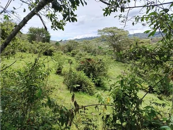 Finca rústica de 20 ha en venta en Antioquia