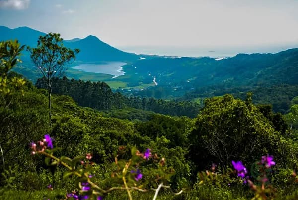 Fazenda rustica de 9 ha para venda em Santa catarina