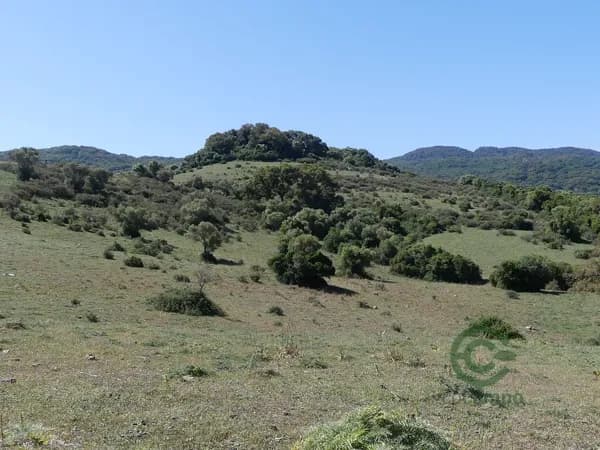 Finca rústica de 180 ha en venta en Cádiz