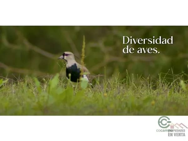 Terreno urbano de 0,6741 ha en venta en Antioquia