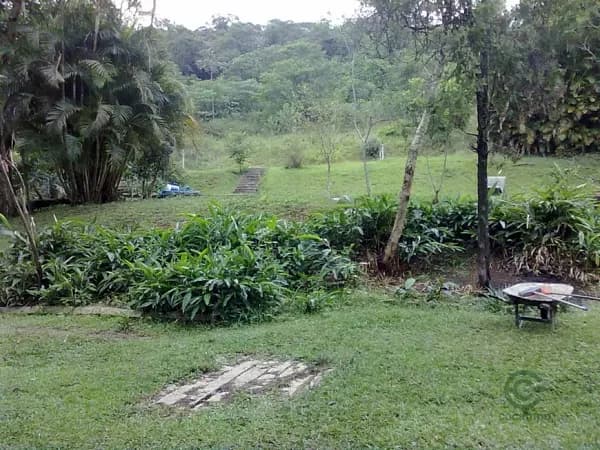 Fazenda agrícola de 9 ha para venda em São paulo