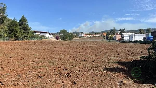 Finca rústica de 2,5 ha en venta en Tacoronte, Sta.cruz tener.