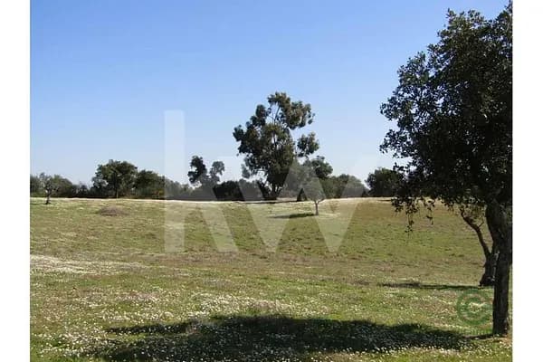 Fazenda agrícola de 1,09 ha para venda em Portalegre