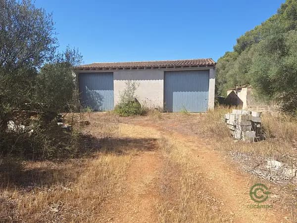 Finca agrícola de 2,18 ha en venta en Baleares