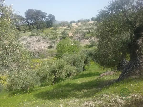 Finca agrícola de 2,1763 ha en venta en Granada, Granada