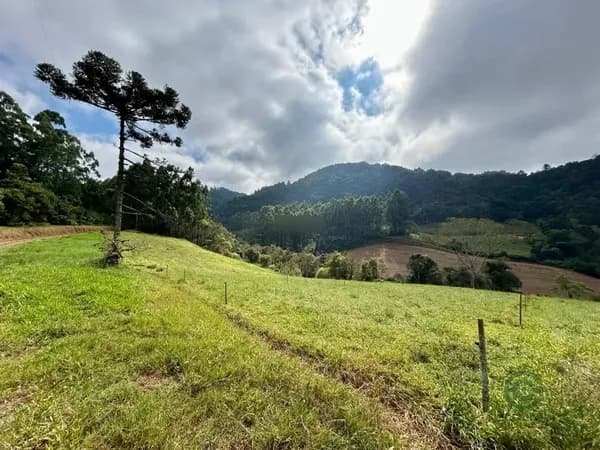 Fazenda rustica de 25 ha para venda em Rio grande do sul