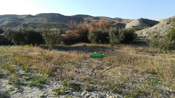 Finca agrícola de 1,7401 ha en venta en Huercal-overa, Almeria