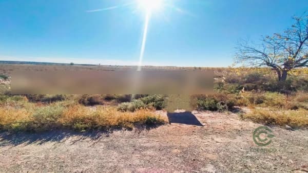 Finca agrícola de 4,325 ha en venta en Elche pedanias, Alicante