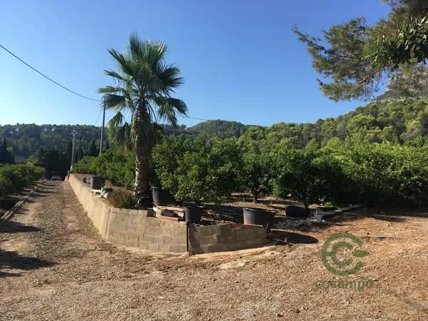 Finca rústica de 3 ha en venta en Valencia