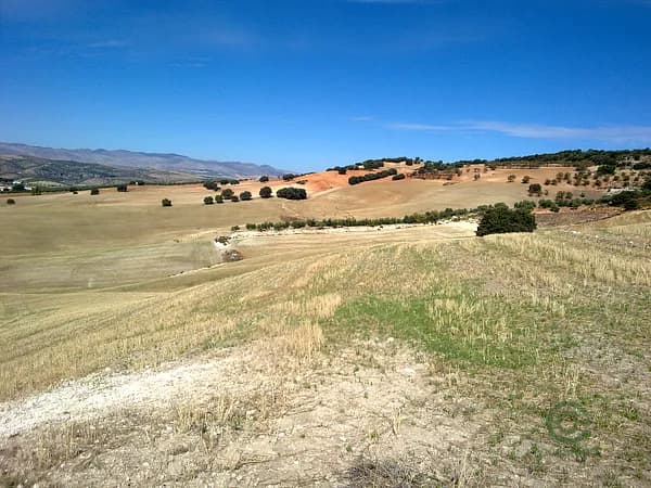 Finca rústica de 87 ha en venta en Granada