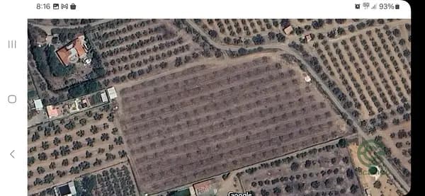 Finca agrícola de 1,5 ha en venta en Tarragona