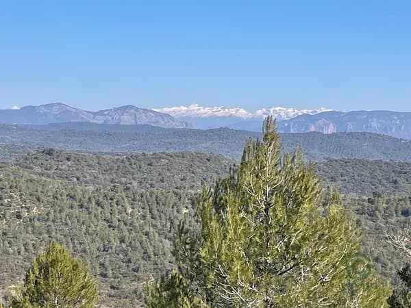 Finca rústica de 930 ha en venta en Luna, Zaragoza