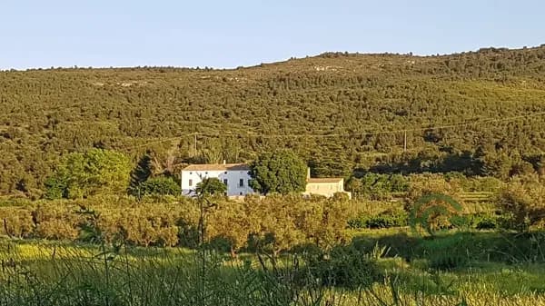 Finca rústica de 6 ha en venta en Valencia
