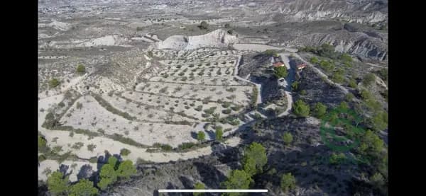 Finca forestal de 3 ha en venta en Murcia