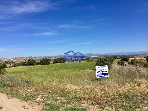 Finca agrícola de 3 ha en venta en Madrid