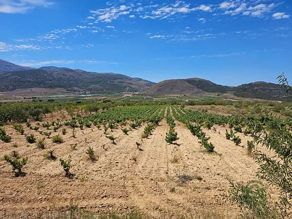 Finca agrícola de 0,7 ha en venta en Laujar de andarax, Almeria