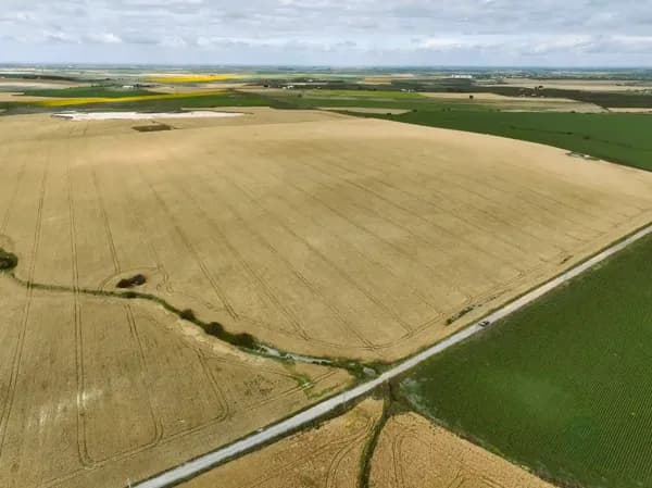 Finca agrícola de 55 ha en venta en Sevilla