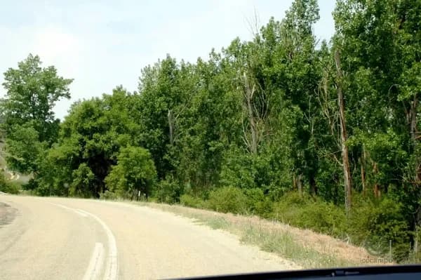 Finca rústica de 57 ha en venta en Guadalajara